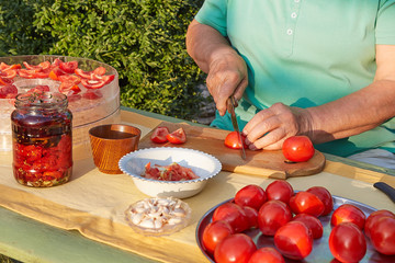 Female hands in the garden cutting tomatoes