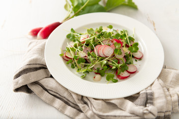 Organic Radishes and Sprouts Salad on Plate