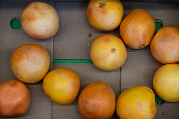 Bad oranges in a shop window sale