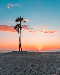 Los Angeles Sunset