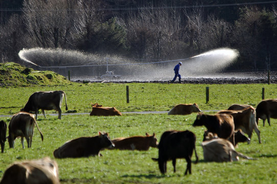 Checking The Effluent Sprayer