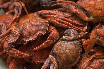 Close-up of blue crabs or jaiba called in Spain cooked