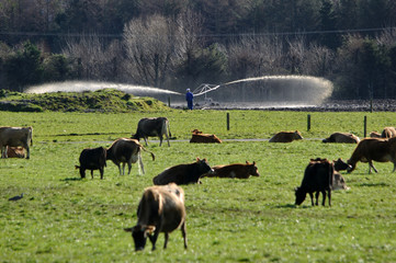 checking the effluent sprayer