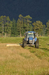 mowing pasture