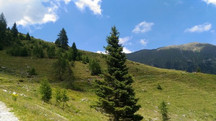 Naklejka premium Summer in the high mountains