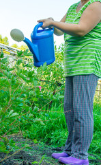 A woman with a watering can on the green grass.