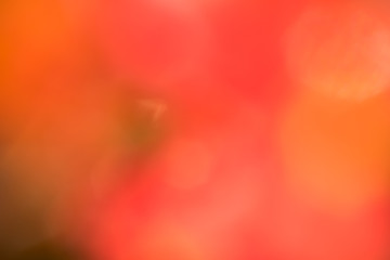 abstract red  orange background