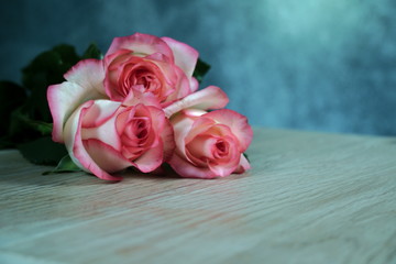 dolce vita rose on wood with gray background