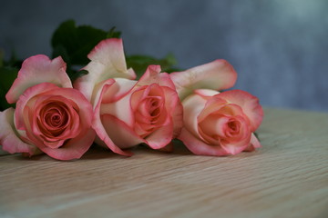 dolce vita rose on wood with gray background