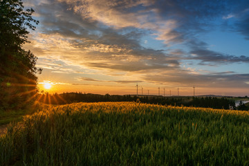 sunset over wheat field, Germany