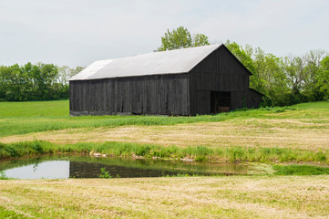 Obraz premium Barn