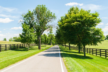 Country Road