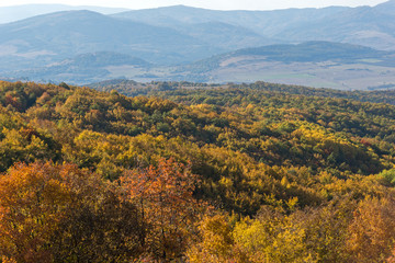 Autumn view of Cherna Gora (Monte Negro) mountain, Pernik Region, Bulgaria