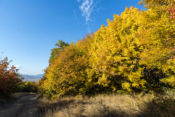 Fototapeta premium Autumn view of Cherna Gora (Monte Negro) mountain, Pernik Region, Bulgaria