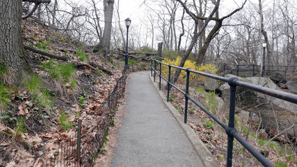 Fototapeta na wymiar Walking path Spring Central Park