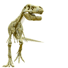 tyrannosaur skeleton walking pose