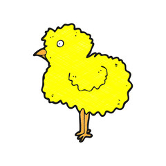 digitally drawn illustration chicks design. hand drawing texture style