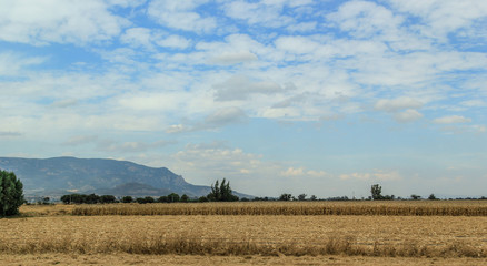 Fototapeta premium beautiful landscape with blue sky and mountain 