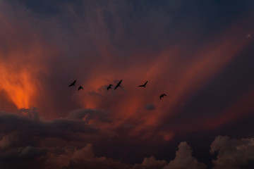 sunset in the sky