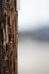 Telephone pole with blurred background