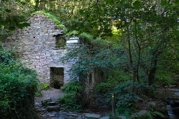 Abandoned dilapidated mill in woodland