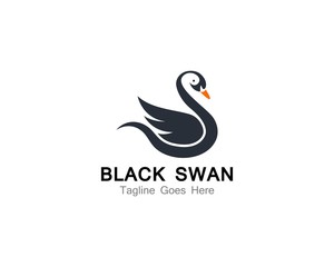 Swan logo Template vector illustration design