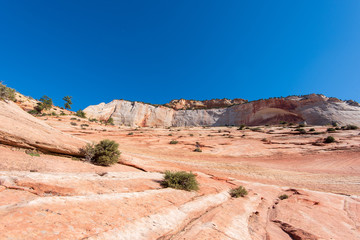 Fototapeta premium Zion National Park landscape of red and white stone and cliff in the background
