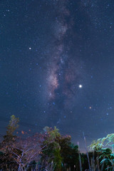 milky ways in thailand