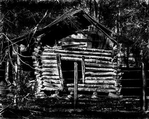 cabin black and white