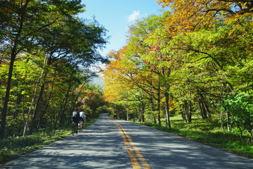 ロードバイクが走る紅葉の道／It is  Nikko City in Tochigi Prefecture, Japan.　