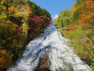 見上げる滝と紅葉／It is a waterfall of Yutaki in Nikko City, Tochigi Prefecture, Japan.　