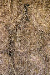 Round bale of Hay