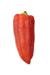 Red sweet bell pepper close-up isolated on white background.