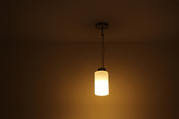 Indian Made Hanging  Ceiling Modern Lamp