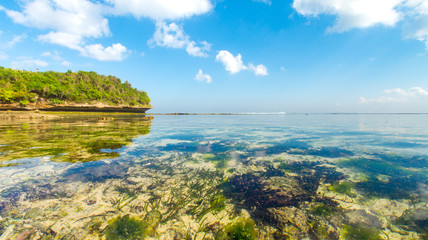 looking out at the horizon from the shoreline of a tropical beach in Asia with crystal clear shallow water on a beautiful sunny day.