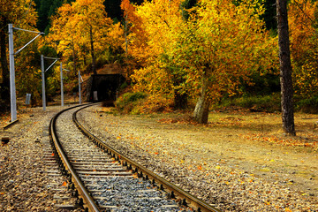 Railroad tracks on mountainside landscape in between colorful autumn leaves and trees in forest of Mersin, Turkey