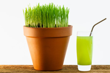 Fresh young wheatgrass growing in a terracotta pot with a glass of juice containing a reusable drinking straw.