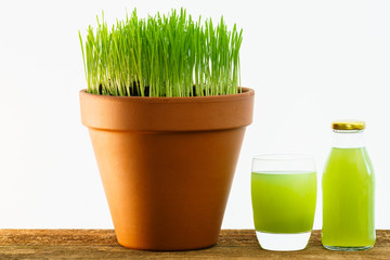 Fresh young wheatgrass growing in a terracotta pot alongside a glass of wheatgrass juice.