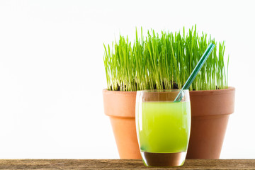 Fresh young wheatgrass growing in a terracotta pot with a glass of juice containing a reusable glass drinking straw.