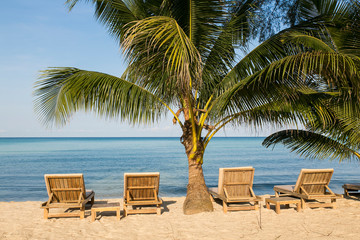 Chairs beach on white sand under the coconut trees and blue sky.