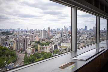 Fototapeta na wymiar 展望台から東京を眺める