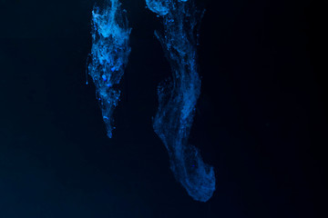 Blue Color powder splash. Cloud isolated on background