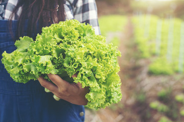 The female gardener holding a salad in his hand.