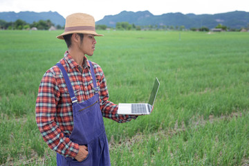 The male gardener who is investigating him.(Modern concept)