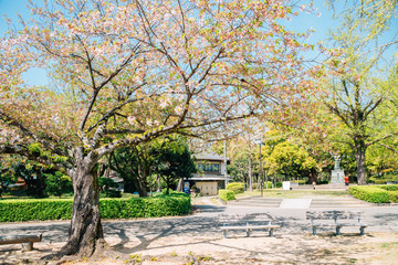 Tokushima Central Park at spring in Shikoku, Japan