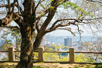 Tokushima Central Park and city view in Shikoku, Japan
