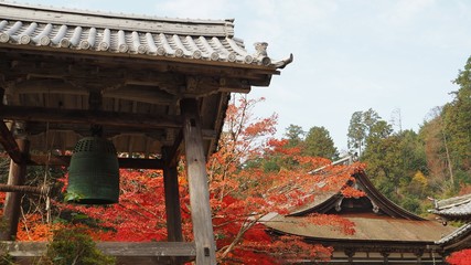 紅葉