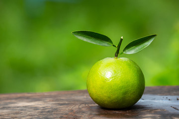 Orange fruit placed on a wooden floor and has a natural green background.