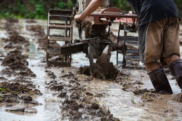 Farmers who are using walking tractors.