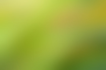 Blurred natural green background scene.